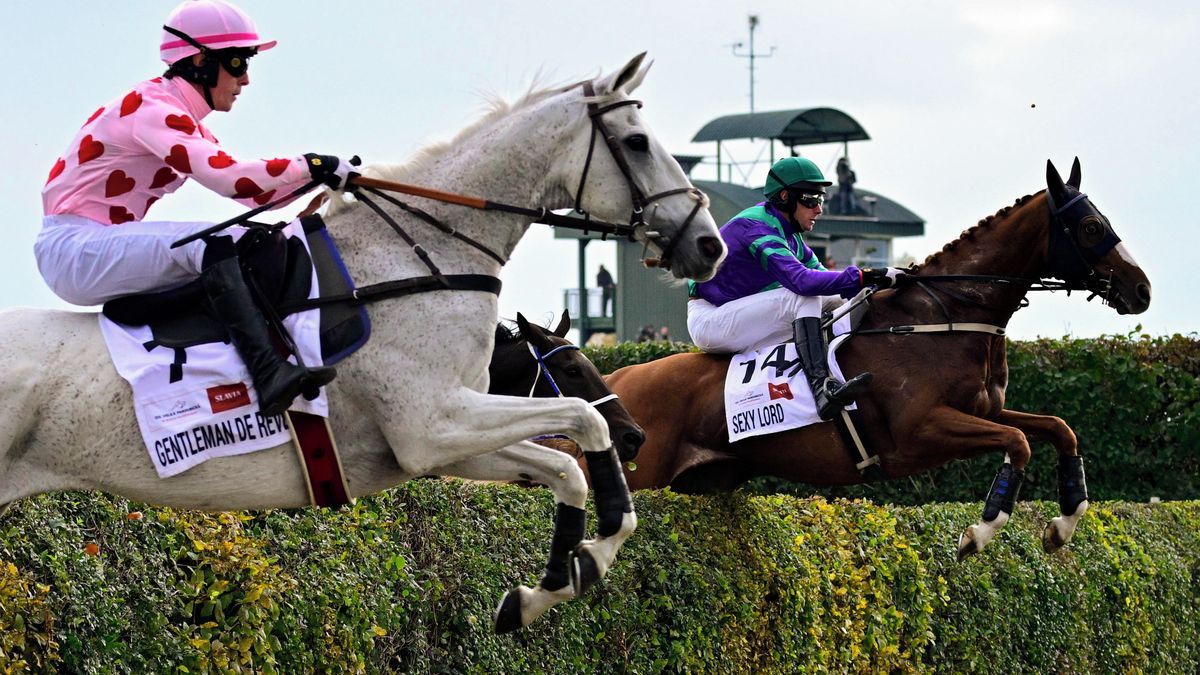 Obhájce vítězství na Velké pardubické nedoběhl. Trenérka promluvila o zranění